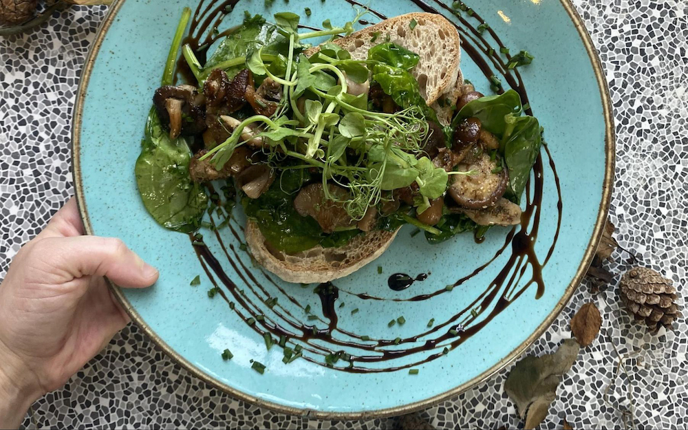 repas saisonnier dans un café