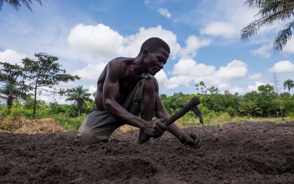 Un agriculteur travaille la terre à Freetown, en Sierra Leone.