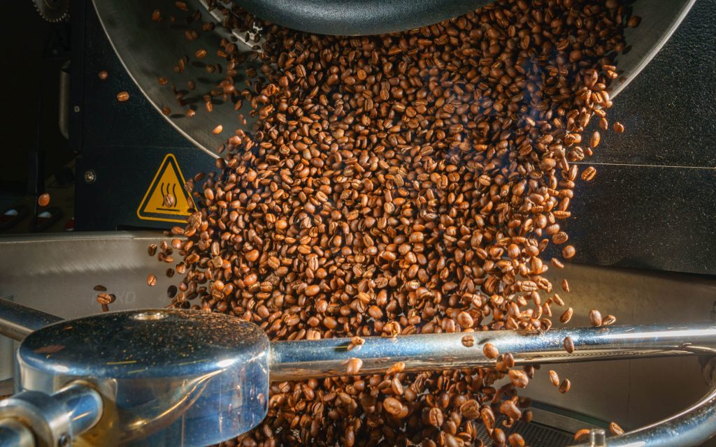 Les grains de café torréfiés sont vidés du tambour du torréfacteur dans le bac de refroidissement.