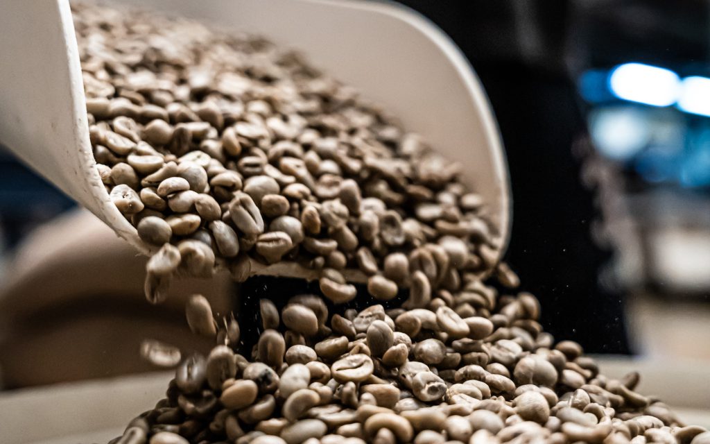 Des grains de café verts versés dans un torréfacteur.